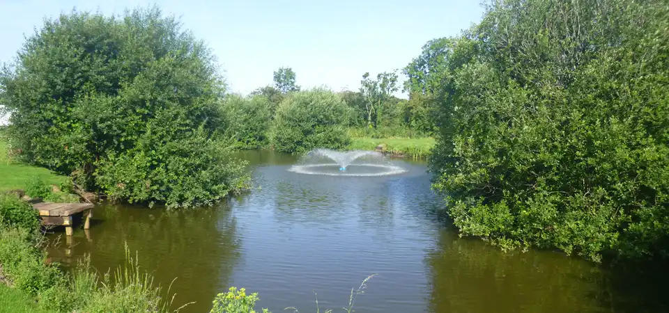 Fishing Lake White Swan Lodges